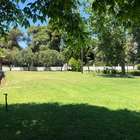 Villa Anastasia! In Strofylia Pine Forest!!! Manolas المظهر الخارجي الصورة