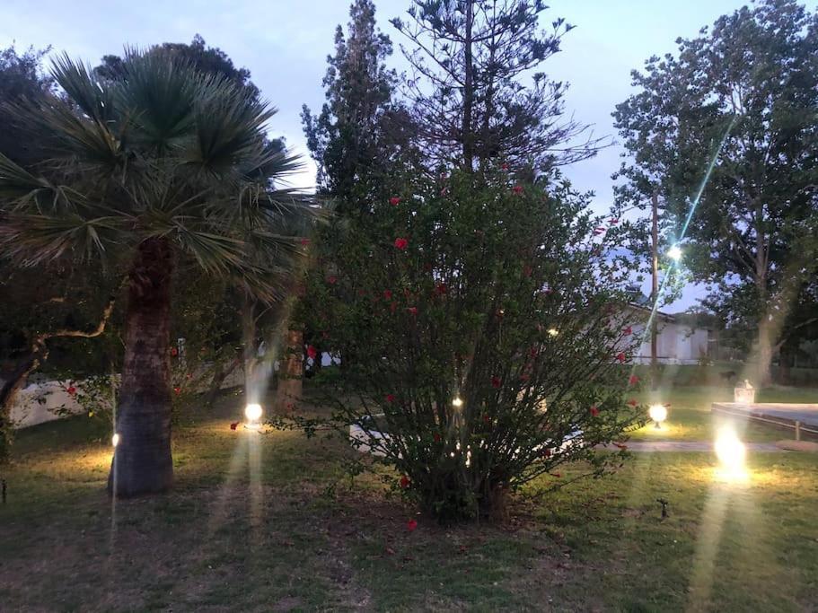 Villa Anastasia! In Strofylia Pine Forest!!! Manolas المظهر الخارجي الصورة