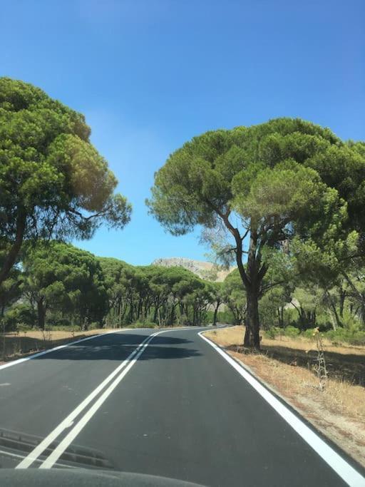 Villa Anastasia! In Strofylia Pine Forest!!! Manolas المظهر الخارجي الصورة
