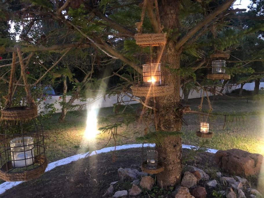 Villa Anastasia! In Strofylia Pine Forest!!! Manolas المظهر الخارجي الصورة