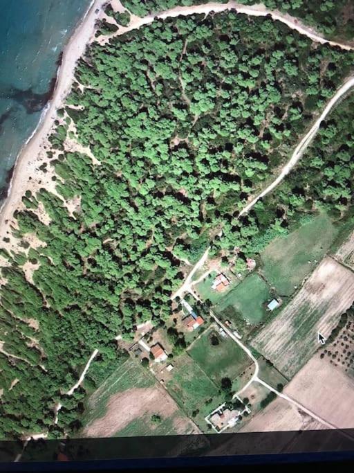 Villa Anastasia! In Strofylia Pine Forest!!! Manolas المظهر الخارجي الصورة
