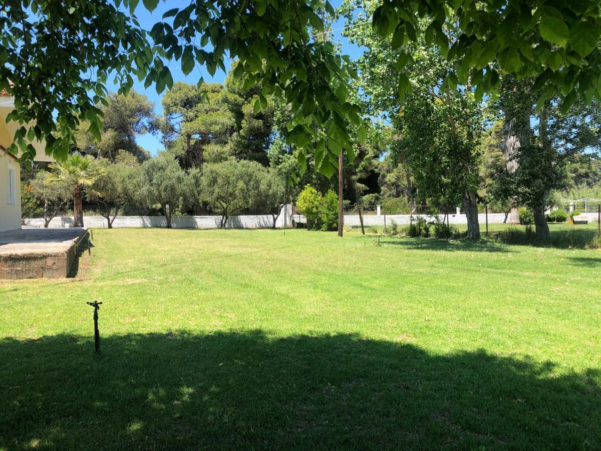Villa Anastasia! In Strofylia Pine Forest!!! Manolas المظهر الخارجي الصورة