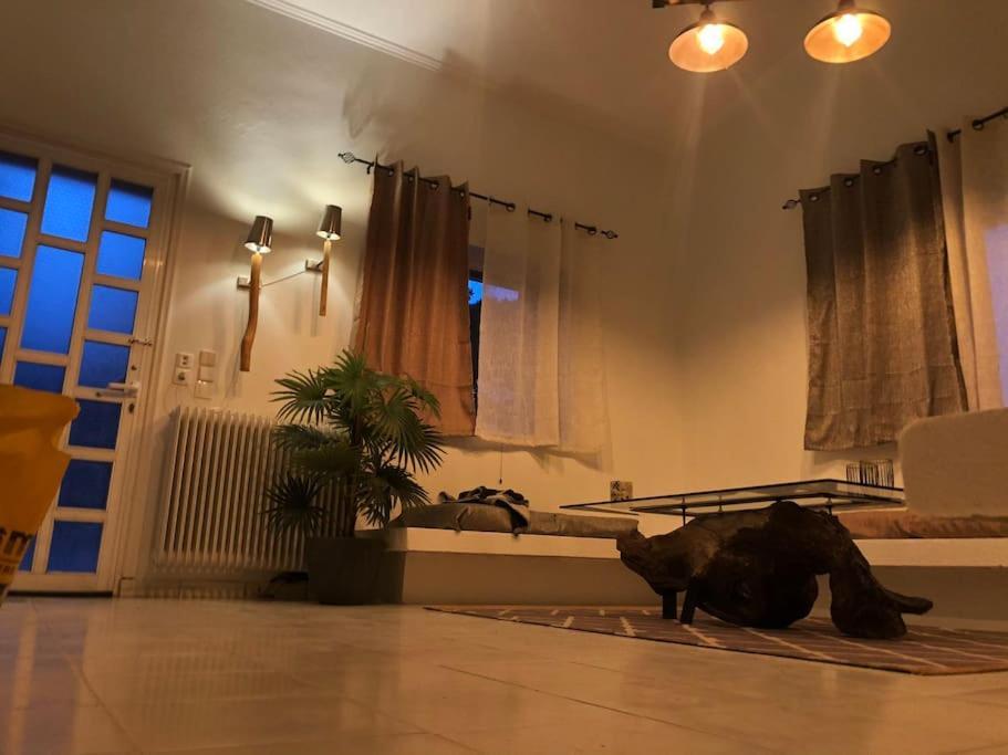 Villa Anastasia! In Strofylia Pine Forest!!! Manolas المظهر الخارجي الصورة