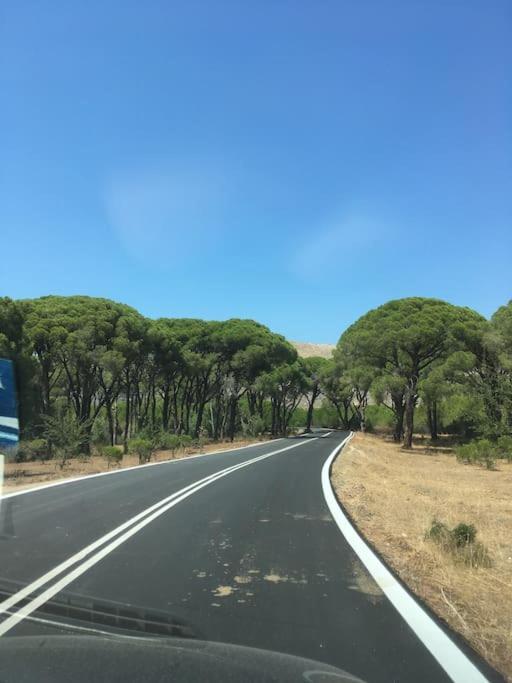 Villa Anastasia! In Strofylia Pine Forest!!! Manolas المظهر الخارجي الصورة