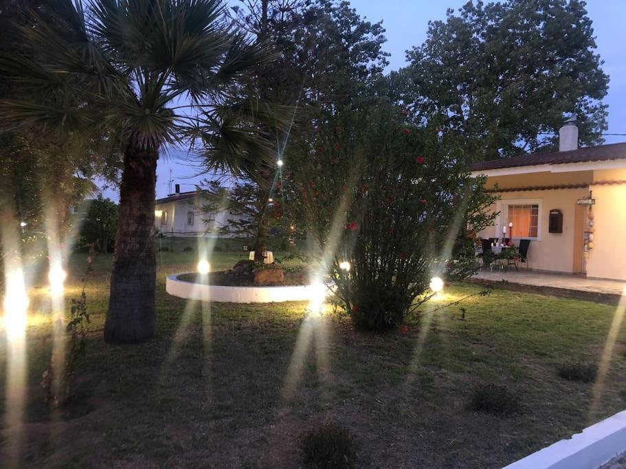 Villa Anastasia! In Strofylia Pine Forest!!! Manolas المظهر الخارجي الصورة